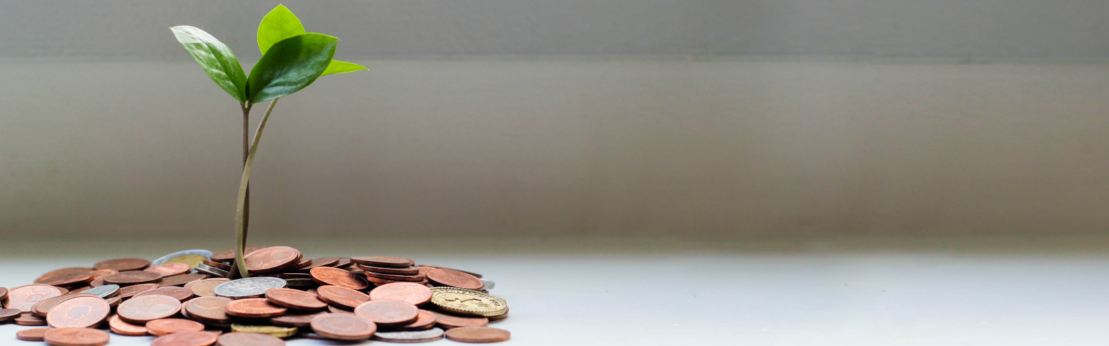 Give, Save and Spend: Finances God’s Way