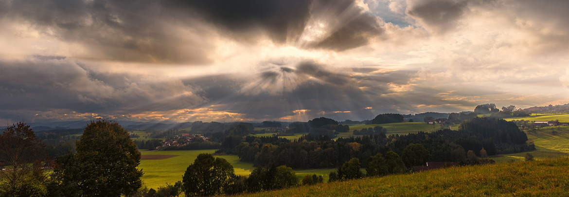 Reading the Book of Revelation