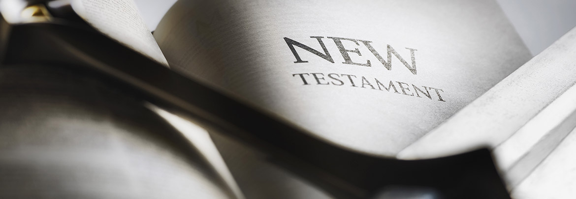 New Testament Survey I: The Gospels-The Life of Christ